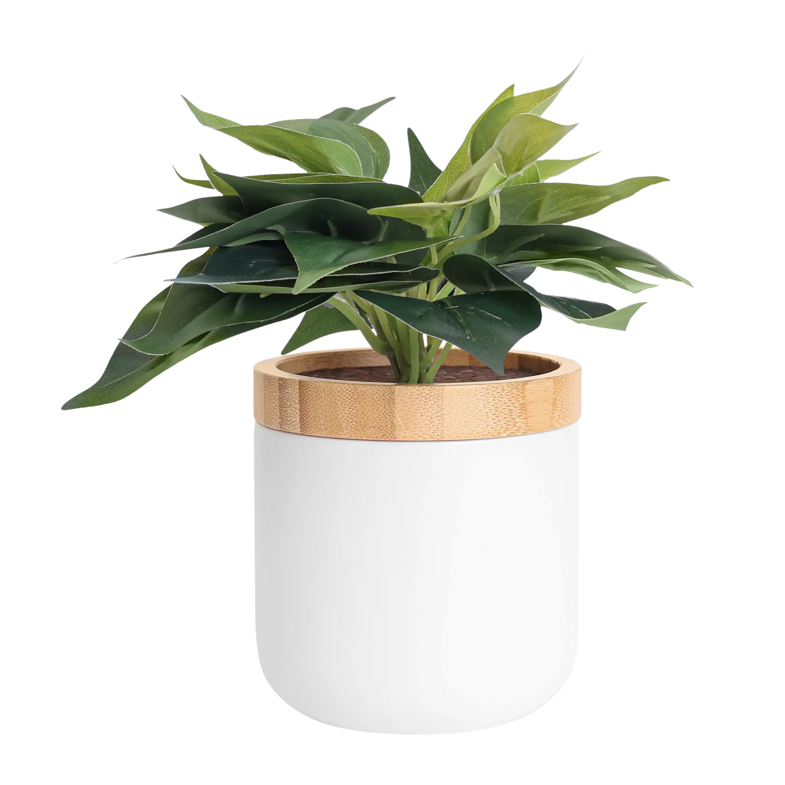 plant pot with hidden storage Tericota™