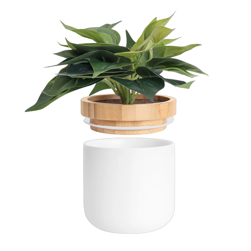 Decorative Plant Jar - Tericota