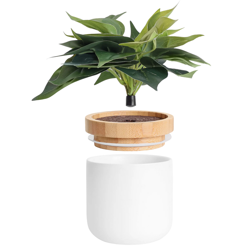 Decorative Plant Jar - Tericota