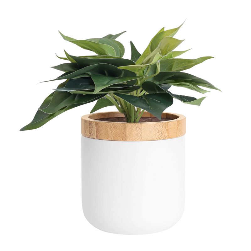 Decorative Plant Jar - Tericota