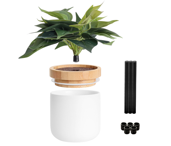 Tericota DIY Decorative Plant Jar
