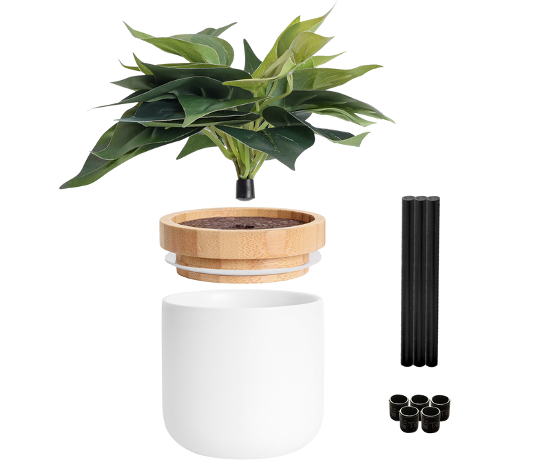 Tericota DIY Decorative Plant Jar